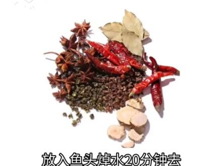 山东僵尸金枪鱼不能吃?胡说#山东僵尸金枪鱼