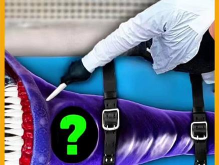 我居然培育出了变异的深海水怪,玛雅#奇闻奇事 #亲子