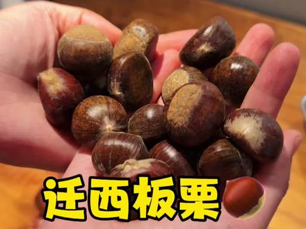 欢迎大家都来尝尝我们唐山特产~ @蘑菇先生