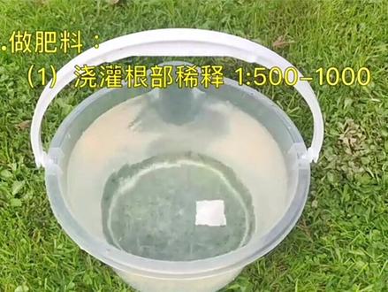 酵素的用途和用法#酵素种植 #微生物液肥 #em菌发酵
