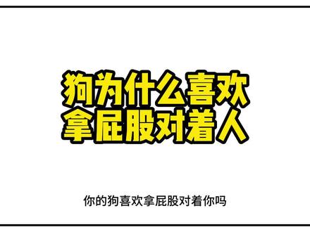 狗为啥喜欢拿屁股对着人?#狗子的迷惑行为 #狗狗的心思都写在脸上了 #狗狗的日常 #科学养宠攻略 #动物科普