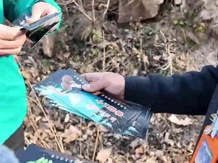 九峰山荒野求生训练营!野外求生第一天 选手收集物资卡,选手自信开麦,下一秒被“打脸”#媒体精选计划 #荒野求生