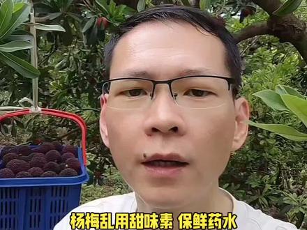 #福建漳州龙海部分杨梅收购商乱用甜味素保鲜药水#杨梅用药乱象整治#自家果园种植