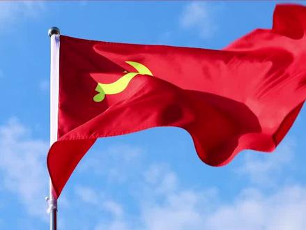 千万别搞错!为什么不能说“佩戴党徽”?#党建知识