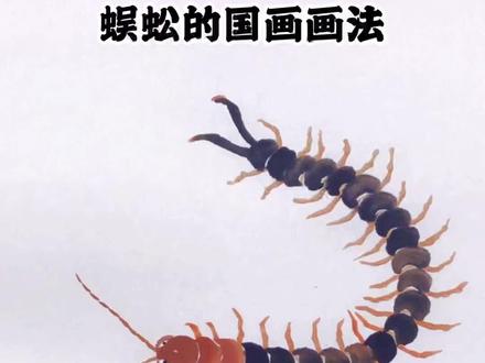 蜈蚣的国画画法#国画教程 #国画零基础教程