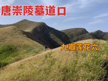 唐崇陵的九瓣莲花穴,峰顶向下500米为墓道口,散落条石揭开真相#历史古迹 #文化旅游 #古墓