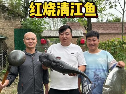 红烧清江鱼~有吃过的么,想吃的抓紧来啦……#美食 #农村生活 #搞笑