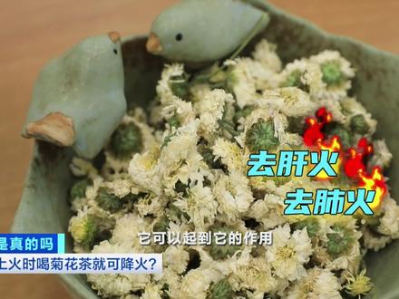 上火就喝菊花茶?!不同菊花喝起来有大讲究!你可能一直都喝错了