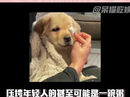 这是宋焰给许沁做的粥吗#搞笑#沪币 #白粥