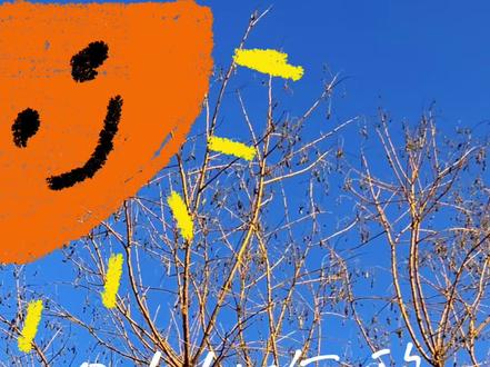 VLOG趣味开头:odd+动态涂鸦#视频剪辑教程 #涂鸦 #用剪映出大片 #教程 #创意拍照