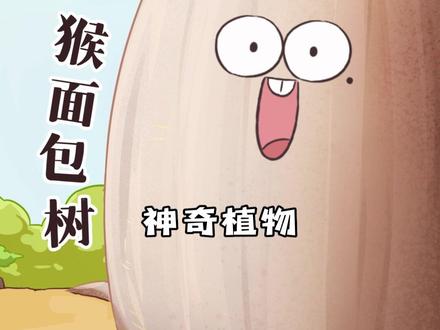 能吃能住能喝水,号称非洲“圣树”的猴面包树有多万能?#赞美粮食赞美碳水