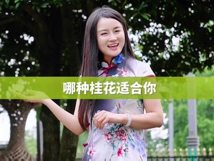 金桂银桂丹桂四季桂哪个好,把你的挚爱写在评论区让我看看有没有跟我一样的❤️#园林 #寻美中国从蓉出发