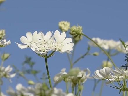 读书是为了明理,世上万事万物都离不开一个“理”字 。4月23日是#世界读书日 ,在评论区说说你最近看的书吧~