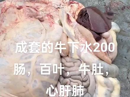 成套的下水200