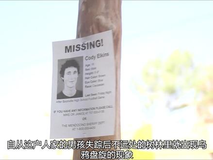 自从男孩失踪后,树林里就出现乌鸦盘旋的现象 #悬疑推理 #超感神探