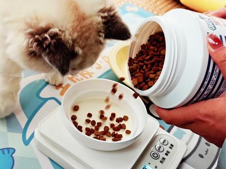 记录四个月的小猫糯米的三天饮食 #养猫新手 #猫咪配餐 #真实生活分享
