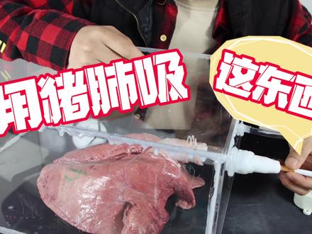 挑战用猪肺做一个模拟装置,当吸完200只后猪肺会发生什么变化呢? #吸烟有害健康 #创作灵感 #挑战