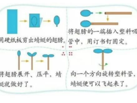 教小朋友动手做竹蜻蜓#亲子手工 #线上小课堂