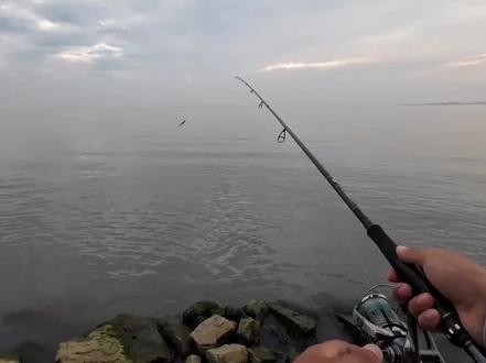 原声,听听美妙的卸力声音~ #原来钓鱼才是抖音运动顶流 #禧玛诺 #斯泰拉c3000sdhhg #路亚