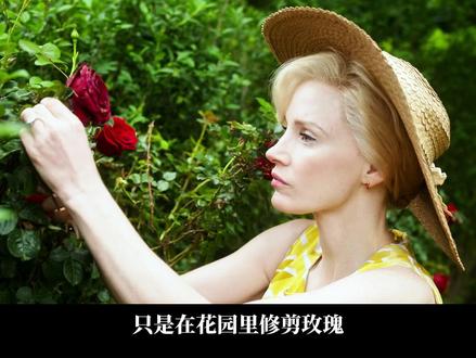 亡子之痛谁该负责?一部中产妈妈的“发疯”实录 #一剪到底 #悬疑 #安妮海瑟薇 #杰西卡查斯坦 #母亲的直觉