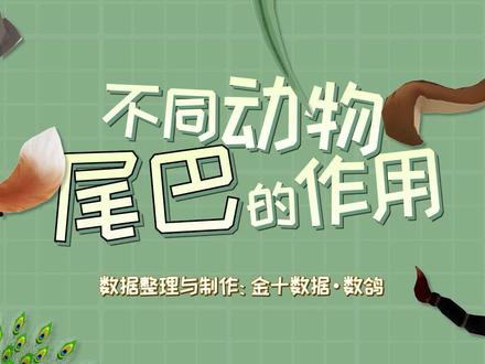 不同动物尾巴的作用,一定要看到最后#动物 #动物尾巴 #尾巴 #数据可视化 #野生动物 @抖音小助手