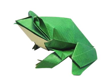 立体折纸之小蝌蚪要找的妈妈青蛙