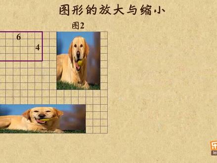 11. 图形的放大与缩小【23六年级下册I】
#数学思维 #思维训练 #教育 #每天进步一点 #小学数学 #学习 #在线学习 #快乐学习 #快乐学习快乐成长 #维修电工