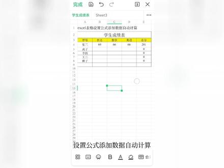 #wps #word #excel技巧 #办公技巧 手机办公表格设置公式自动计算