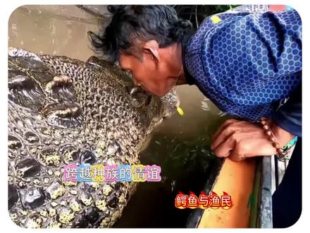 相守26年!冷血巨鳄只认一位人类,温柔模样看哭无数人
#动物世界 #鳄鱼 #神奇动物在抖音