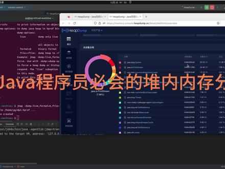 Java程序员必会的堆内内存分析#编程 #java #java面试 #jvm