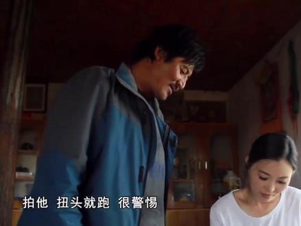 重返狼群 再见格林 李微漪听说格林被抓后 马不停蹄的来到若尔盖大草原寻找格林 后来从牧民口中得知 格林在回归狼群的这段时间 经常来到李微漪居住过地方 寻找李微漪