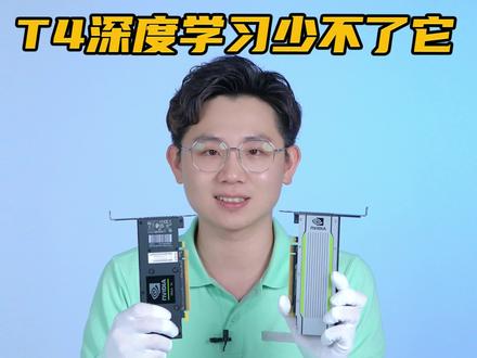 英伟达Tesla T4 16G,深度学习可少不了它!#英伟达 #显卡 #Teslat4 #深度学习 #加速卡 #数码科技 #热点 @DOU+小助手