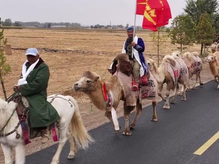 新疆骆驼队已出发94天,领队建议抵达洛阳后开丝路万品博览会,促进丝路沿线城市商贸发展 #新疆骆驼队重走丝绸之路到洛阳 (大河报·豫视频原创)