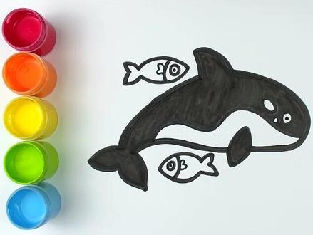 学会画虎鲸并涂色#教你学画画 #儿童绘画和着色