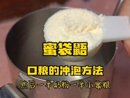 蜜袋鼯——口粮的冲泡方法!#萌宠出道计划 #蜜袋鼯 #宠物 #vlog日常 #家有萌宠