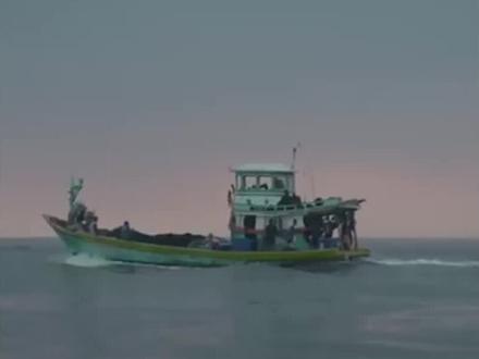 人蛇集团究竟有多恐怖,讲究的就是一个有去无回#纪录片 #纪录片充电计划 #台湾