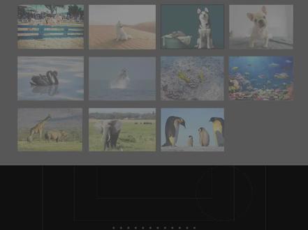 图片多的PPT,如何排版?只需倾斜一下,设计感瞬间爆棚! #PPT设计 #平面设计无处不在 #多图片排版