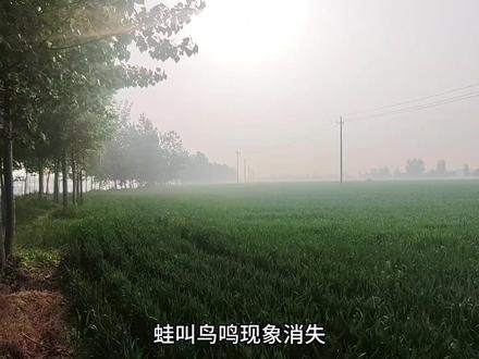 春末野钓早口忙,为何你总是没口?避开这五种情况,早口百发百中 #春季野钓 #赶早口 #野河野钓 #鱼情 #随缘乐水
