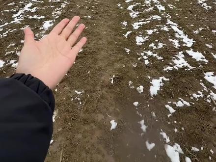 谁画出这天地,又画下我和你。#下雪了公主请拍照