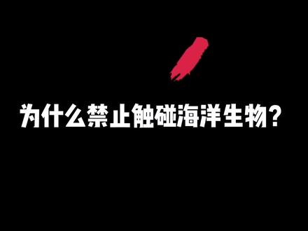 潜水时为什么不能触碰海洋生物?#科普知识 #潜水 #保护生态环境