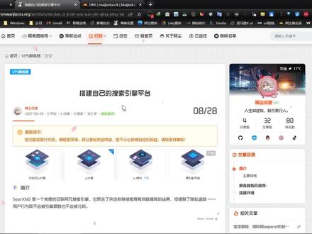 搭建自己的搜索引擎平台 #搜索引擎 #搜索 #教程