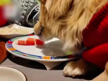 北京一女子带狗上桌吃火锅引众怒
餐厅负责人:已停业整顿