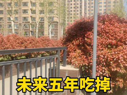 张雪机车——中国工业实力的又一次亮眼展示!