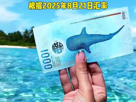 全球各地不同的货币和跟人民币的汇率#科普 #涨知识 #货币