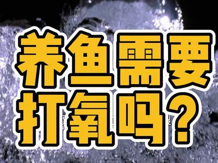 初学养鱼请注意:打氧不是万能的!了解了打氧的原理你就知道,并不是所有鱼缸都需要打氧,养鱼干货知识请您查收!#养鱼 #氧气 #鱼缸 #养鱼教程