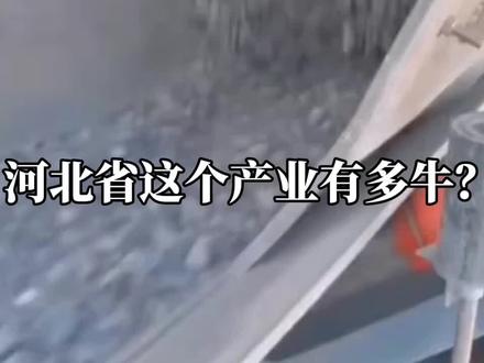 河北省这个产业有多牛?世界排名河北第二!#河北省