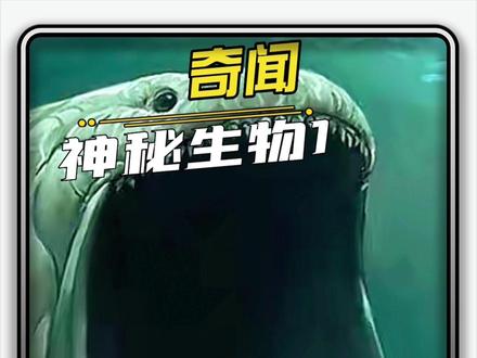 无法解释的海洋生物现象,神秘而新奇
#涨知识 #探索新奇 #神奇大自然 #奇趣百科 @DOU+小助手 探秘 新奇 科普