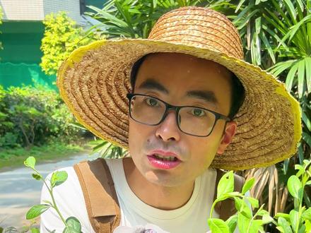 蓝莓扦插关键一步?90%的人都做错! #种植小技巧 #养花小知识 #蓝莓 #蓝莓扦插 #蓝莓扦插方法