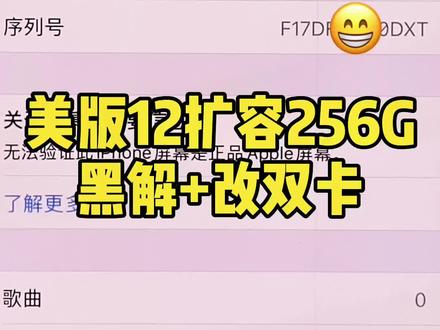 美版12扩容256G 黑解网络锁➕改双卡
