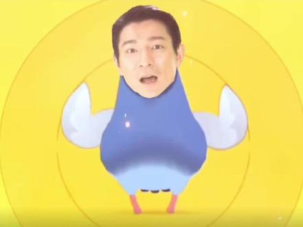 疯狂的鸽子拼好歌#疯狂的鸽子 #拼好歌